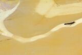 Mookaite Jasper Slab (Not Polished) - Australia #178084-1